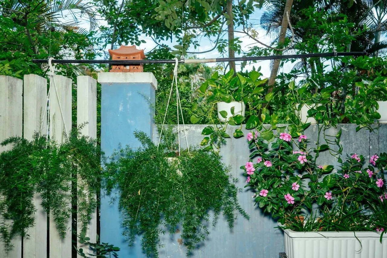 Green Bud Hostel And Homestay Χόι Αν Βιετνάμ